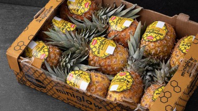 놓치면 후회!🍯 허니글로우 파인애플 1kg 솔직 후기 (특가 정보 포함)🍍