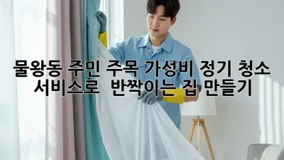 ✨ 물왕동 주민 주목! 가성비 정기 청소 서비스로 ✨ 반짝이는 집 만들기