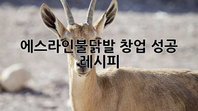 에스라인불닭발 창업 성공 레시피