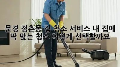 문경 점촌동 집 청소 서비스: 내 집에 딱 맞는 청소, 어떻게 선택할까요?